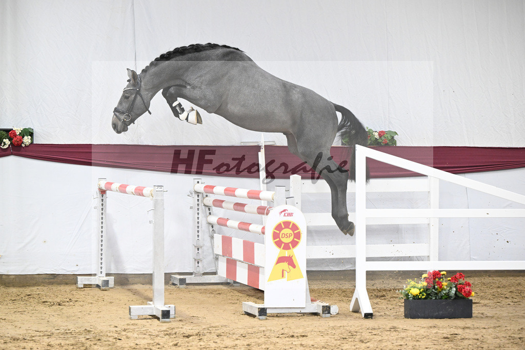 Kat-Nr. 88 Cero I x Arezzo VDL_Franz-Georg Ottmann_47252808 | hf-fotografie - Realisiert mit Pictrs.com