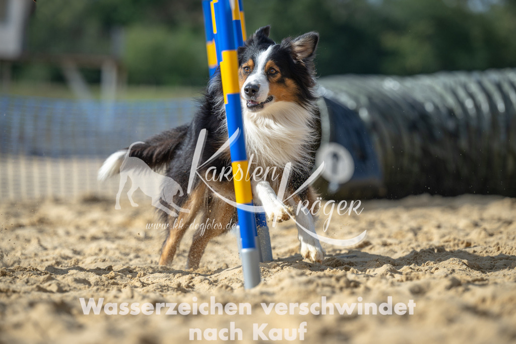 1432_ZZ91525-Bearbeitet | kk-dogfotos