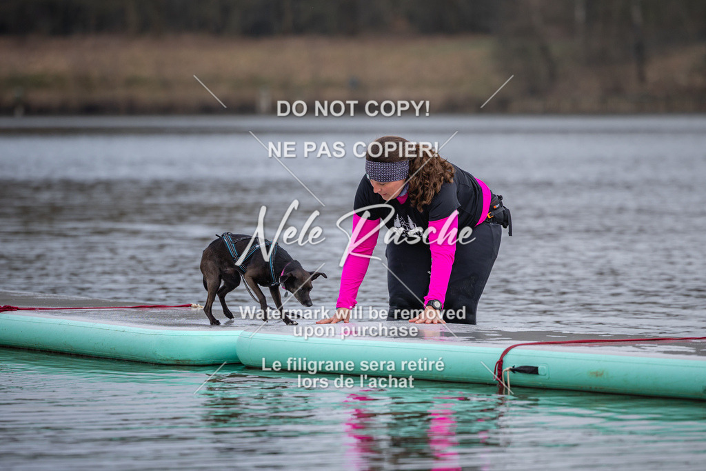 nelerasche_Hulsbeek_Sa1600-1700_529 | nelerasche