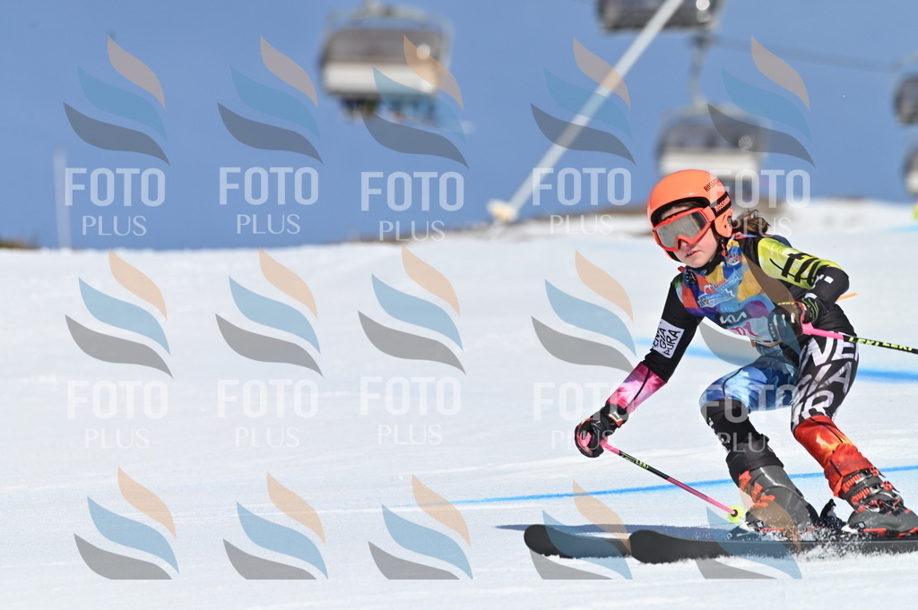 BGV_8752 | holidayphoto