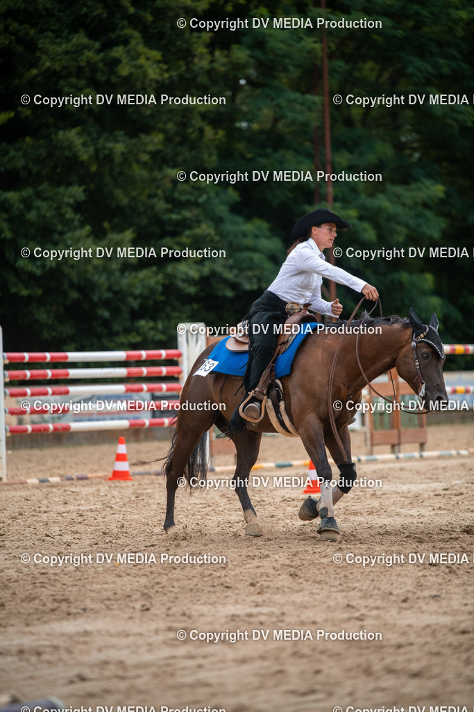 ZS2_8640 | dv-media-shop - Realisiert mit Pictrs.com