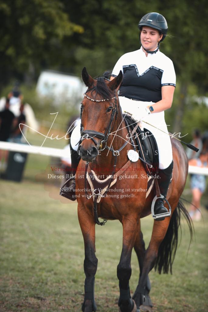 DSC_6710 | Pferde- und Turnierfotografie in Westsachsen. Pferdeportraits, Auftragszeichnungen und intuitive Kunst.