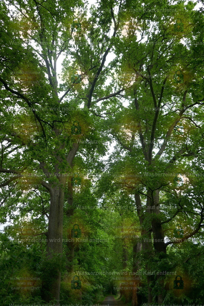P1100870 | Fotoseite Wolkenblende - Das Hobby fotografieren begleitet mich schon  viele  Jahre. Auf den nächsten Seiten zeige ich ein paar Schnappschüsse der letzten Jahre und es kommen immer neue hinzu. Schau einfach mal rein. - Realisiert mit Pictrs.com