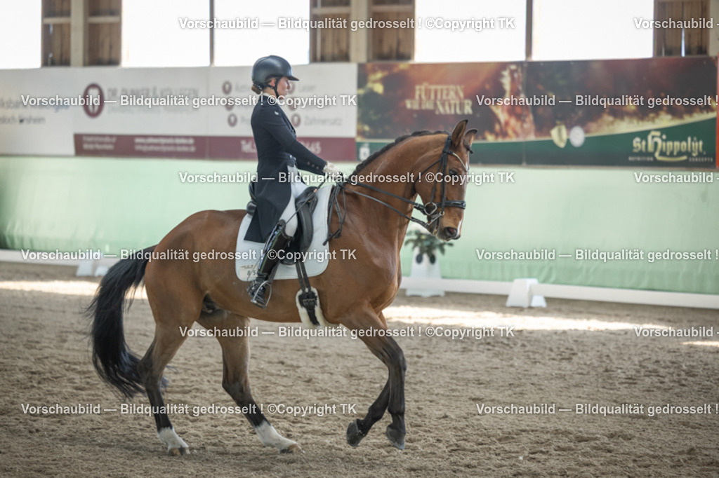 _D5A0015 | Emotionale Pferde- & People-Fotografie rund um Heidelberg, Leimen & Umgebung. Natürliche Fotos von Pferd, Mensch & Familie. Jetzt Termin sichern!