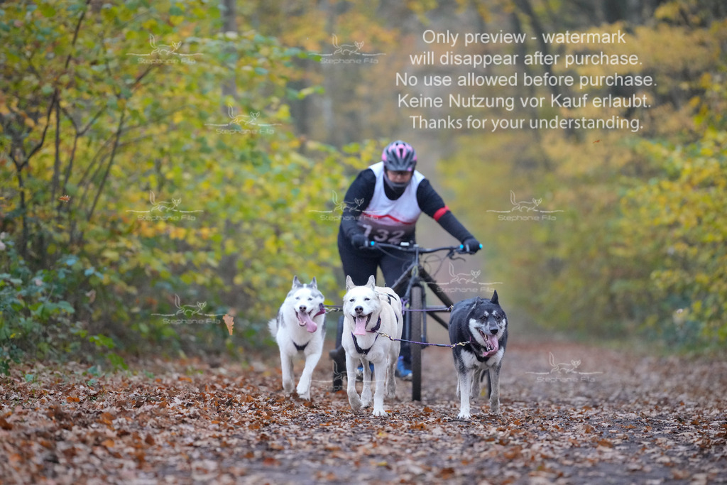 Rigs4bis8So-58 | stephaniefillaphotographie - Realisiert mit Pictrs.com