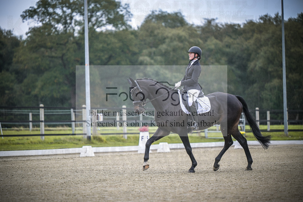 DOS_B335 | Entdecke hochwertige Reitturnierfotos von Foto Oger. Professionell, emotional und authentisch – jetzt Lieblingsmomente im Shop bestellen. - Realisiert mit Pictrs.com