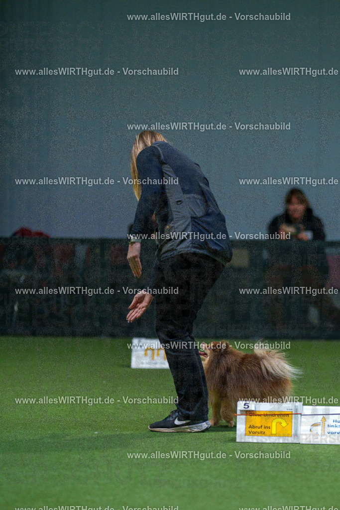 7R506784 | Professionelle Tierfotografie in Mönchengladbach von Daniel Wirth (allesWIRTHgut). Liebevolle & natürliche Bilder von Hunden & Katzen für unvergessliche Erinnerungen.