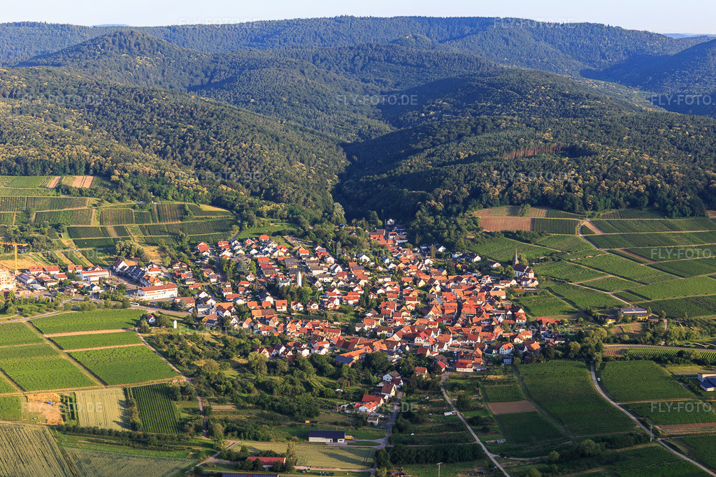 Luftbild: Ortsansicht von Osten im Ortsteil Rechtenbach in Schweigen-Rechtenbach im Bundesland Rheinland-Pfalz in Deutschland. Foto: IMG_120924.jpg vom 26.06.2020 durch Werner Riehm/FLY-FOTO.de
