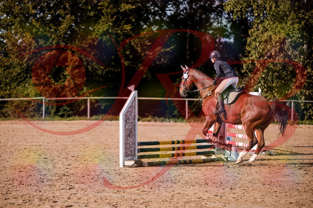 2026_10_03_Siefer-Hof_155525_Z81_74621528 | Professionelle Reitsport-, Turnier- und Eventfotografie von Robert Broda. Galerien mit ausgewählten und bearbeiteten Bildern direkt online ansehen und bestellen.