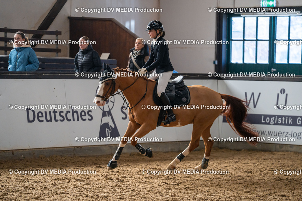 Kranichstein Tag 2-719 | dv-media-shop - Realisiert mit Pictrs.com