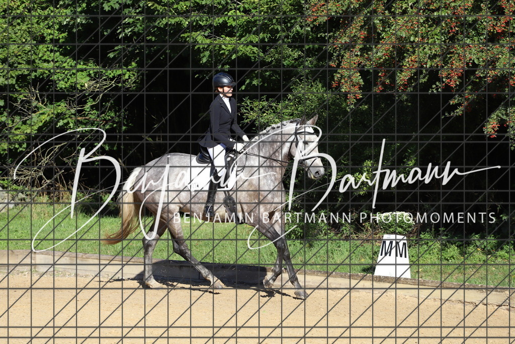 IMG_4943 | Benjamin Bartmann Photomoments