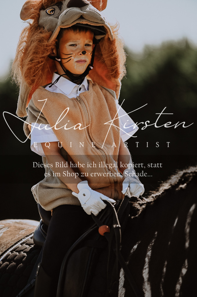 DSC_9144 | Pferde- und Turnierfotografie in Westsachsen. Pferdeportraits, Auftragszeichnungen und intuitive Kunst.