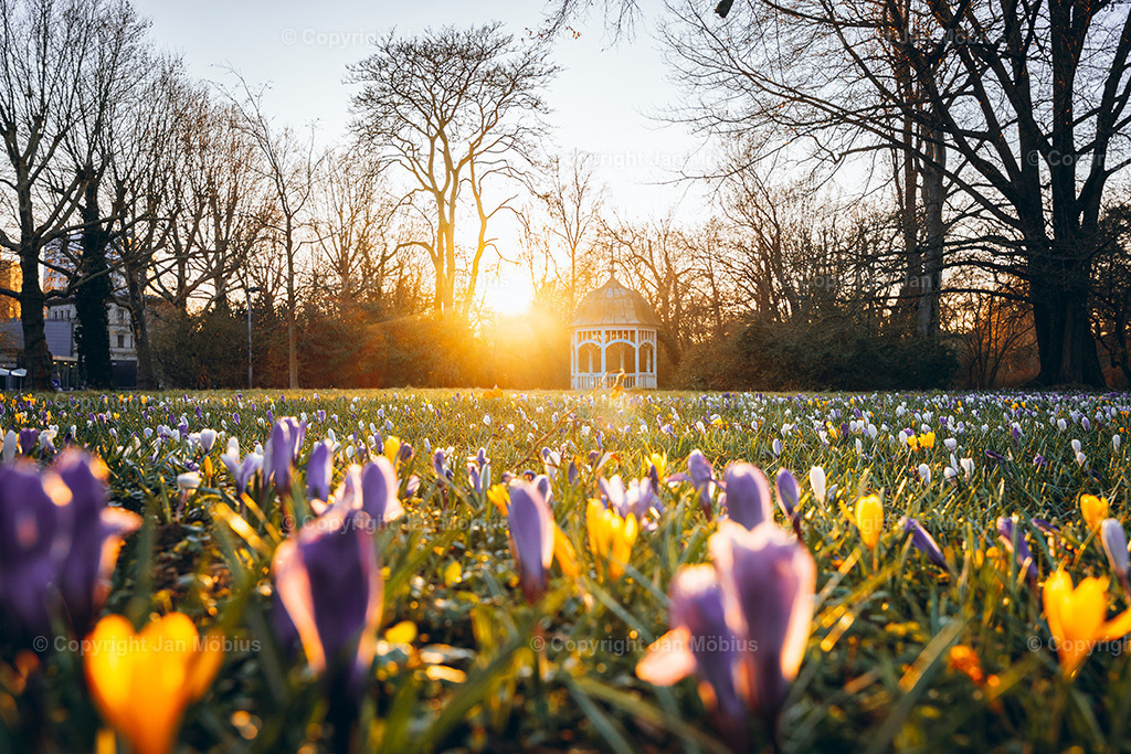 _DSC0514 | Leipzig Wandbilder Drucke Prints Leinwand Stadtmotive Leipzig Fotosdruck Kunstdrucke Bilder Leipzig Stadtansichten Acrylglasbilder Leipzig Wanddeko Fine Art Prints Wandbilder Büro Leipzig Bilder Praxis Zuhause Bilderdruck Poster Posterlounge Kunstdrucke - Realisiert mit Pictrs.com