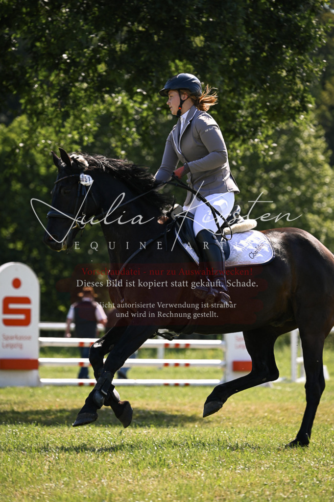 DSC_8797 | Pferde- und Turnierfotografie in Westsachsen. Pferdeportraits, Auftragszeichnungen und intuitive Kunst.