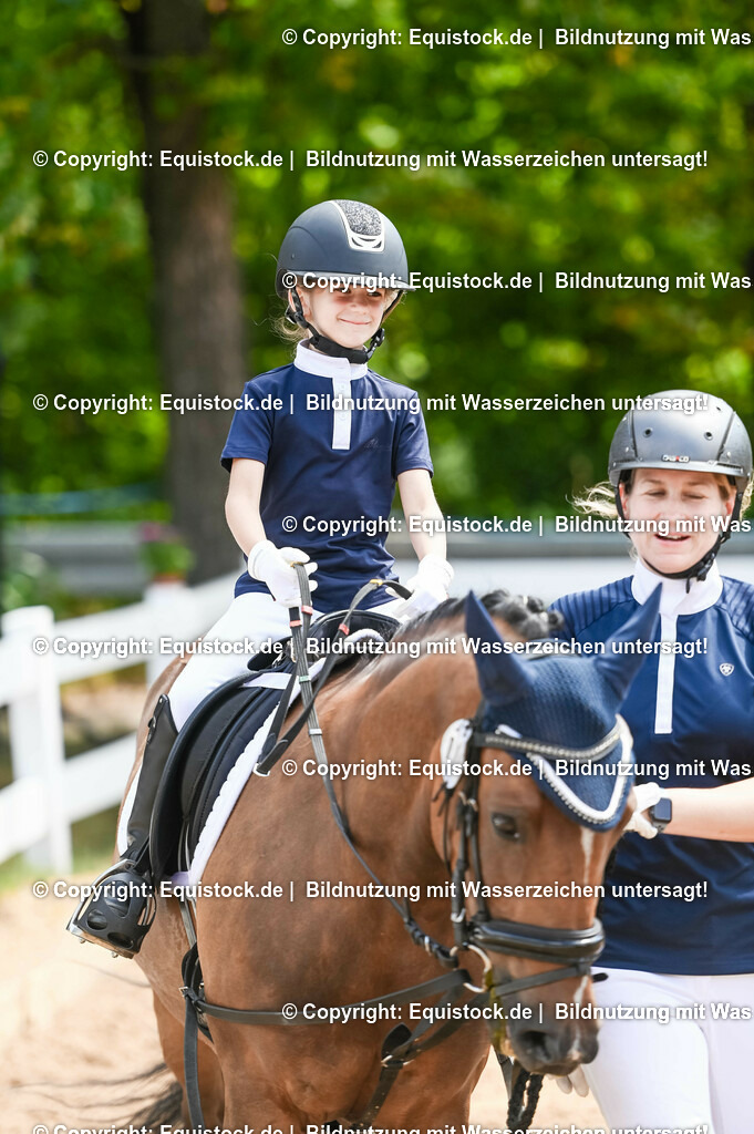 20230716_11_Führzügel-WB_0207 | equistock