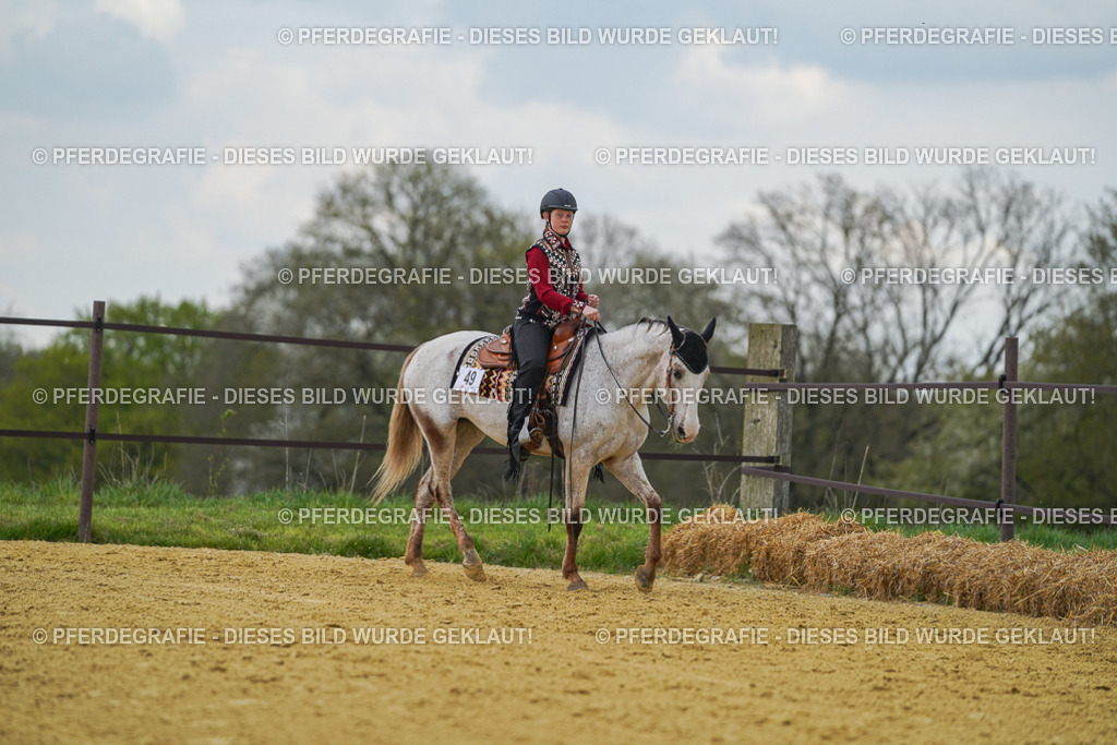 DSC06661 | Pferdegrafie