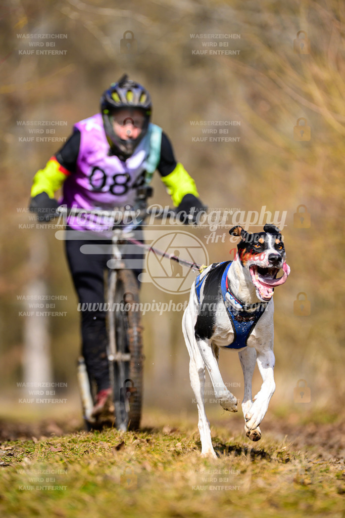 MompixPhotography_Schwabentrail2025_SO_DS1-70 | PayLife
