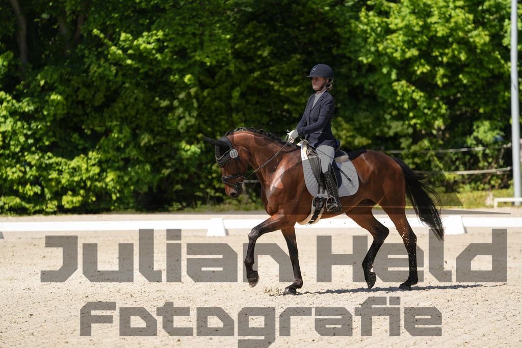 DSC00461 | Julian Held Fotografie - Realisiert mit Pictrs.com