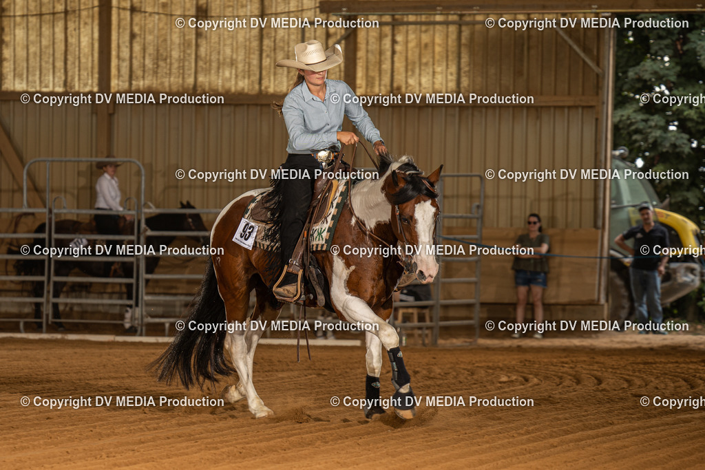 NID02104 | dv-media-shop - Realisiert mit Pictrs.com