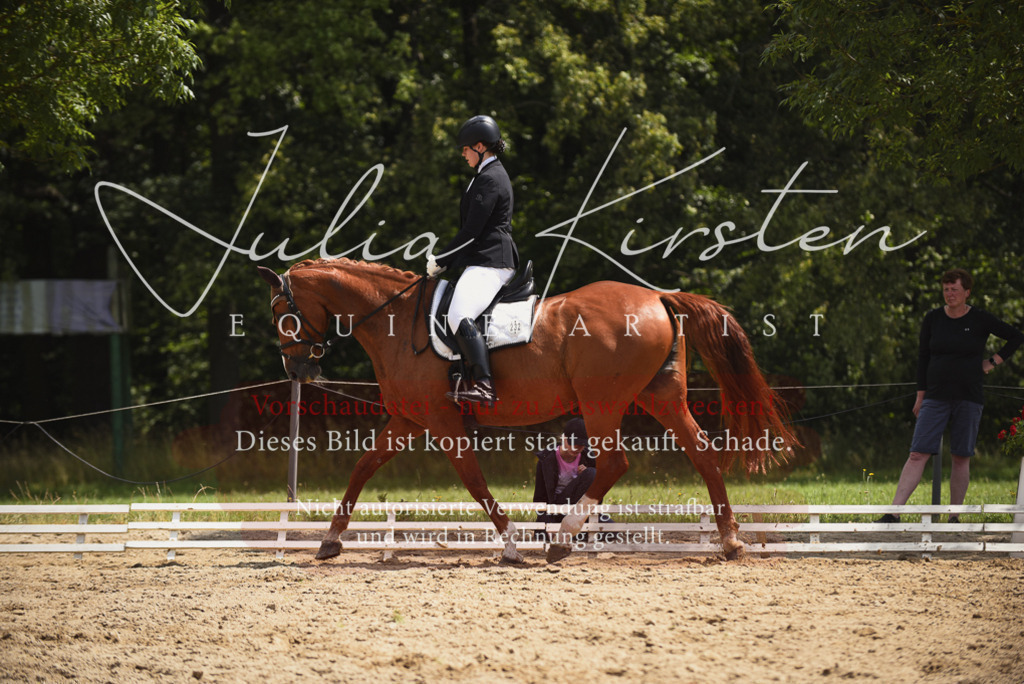 DSC_1157 | Pferde- und Turnierfotografie in Westsachsen. Pferdeportraits, Auftragszeichnungen und intuitive Kunst.