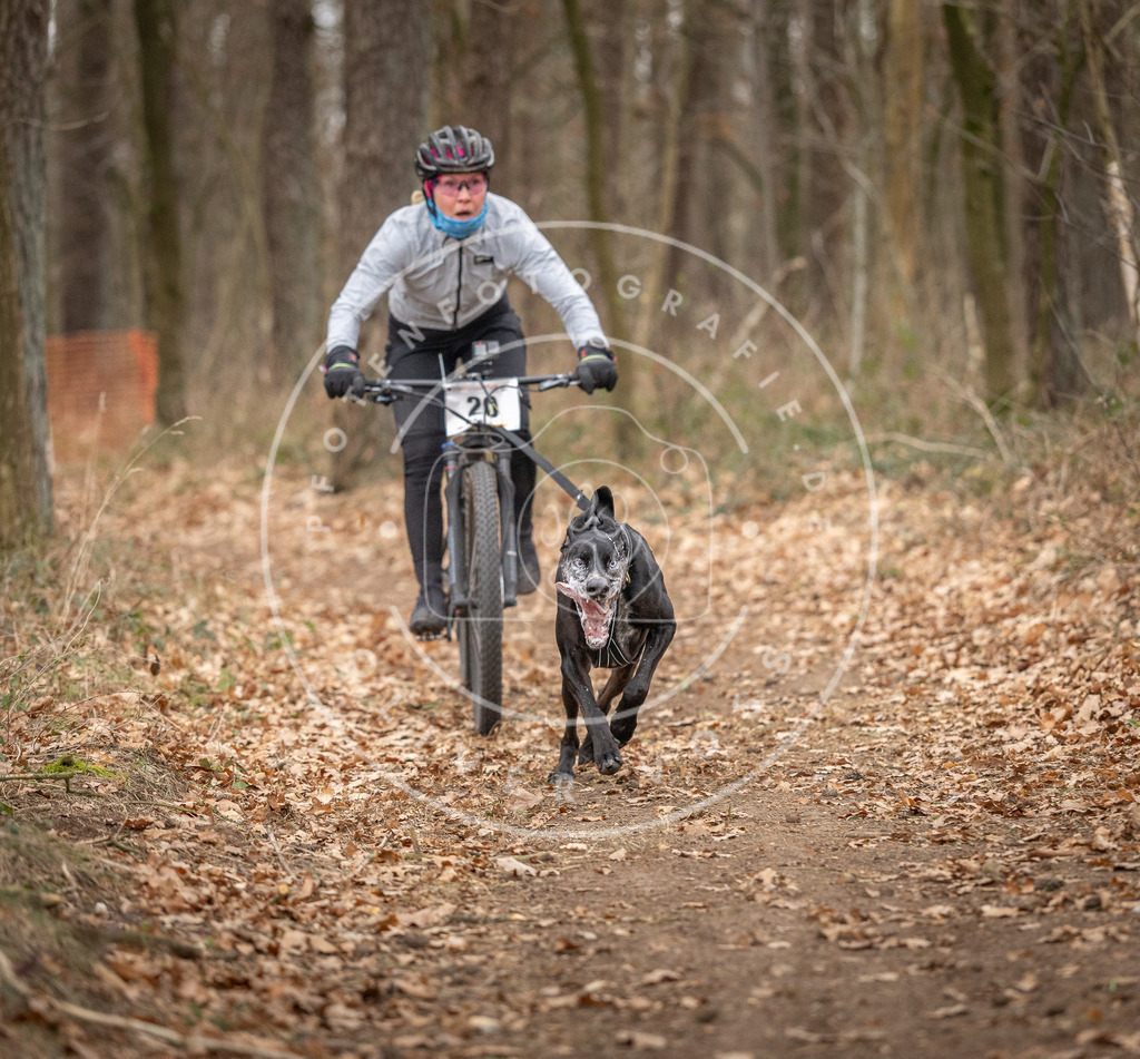 Pfotenfotografie_DV3A7421 | Hundefotografie, Tierfotograf, Pfotenfotografie, Fotoshooting Hund, Hunde Portrait, Hundesport, Hundeportraits, Heideshooting, Hunde, Sportfotograf, Hundefotograf, Turnierhundsport, THS,  - Realisiert mit Pictrs.com