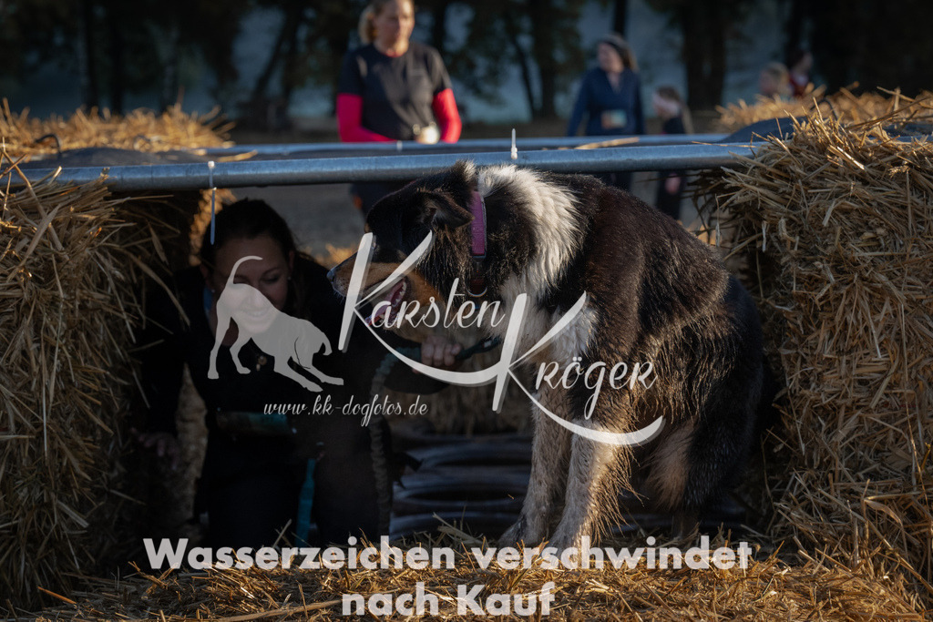 0907_ZZ91493 | kk-dogfotos