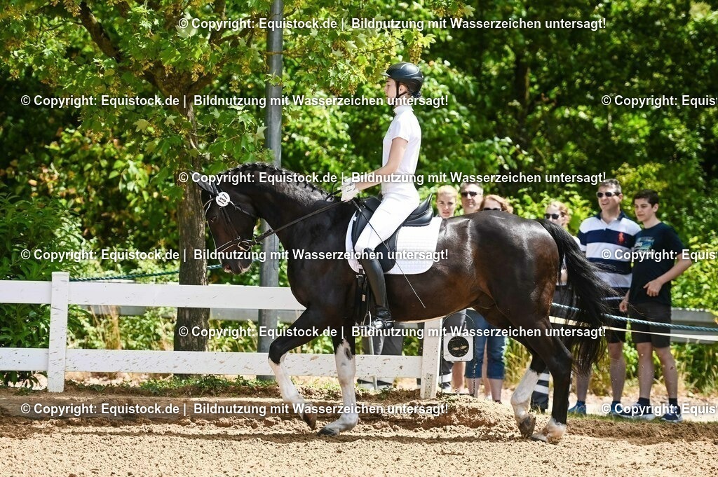 20230716_03_Dressurprfg. Kl.L - Tr._0010 | equistock