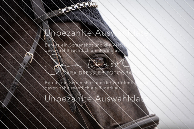 SD_Ennigerloh26_07889 | saradresslerfotografie - Realisiert mit Pictrs.com