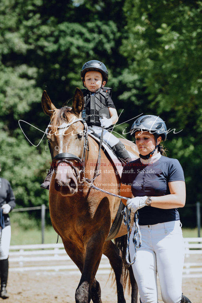 DSC_2569 | Pferde- und Turnierfotografie in Westsachsen. Pferdeportraits, Auftragszeichnungen und intuitive Kunst.