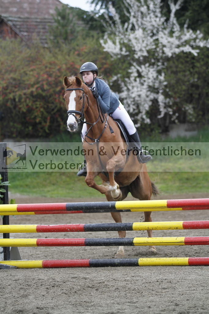 _MG_4443 | equestrian-live-com