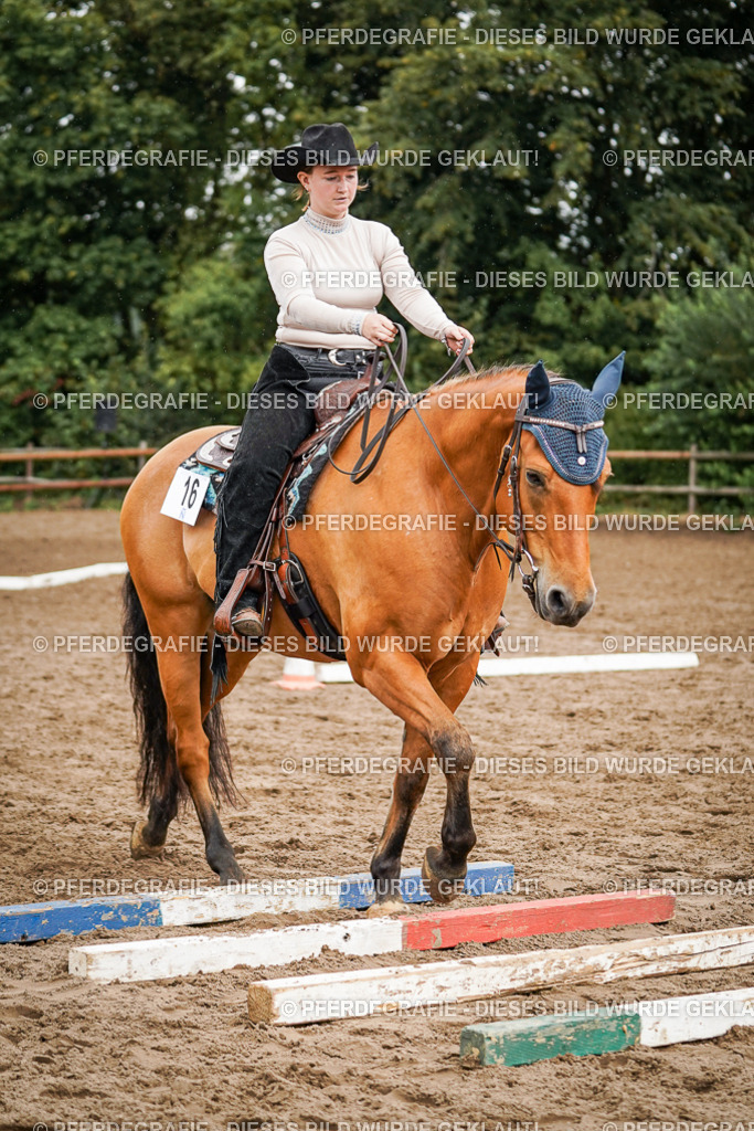 DSC04497 | Pferdegrafie