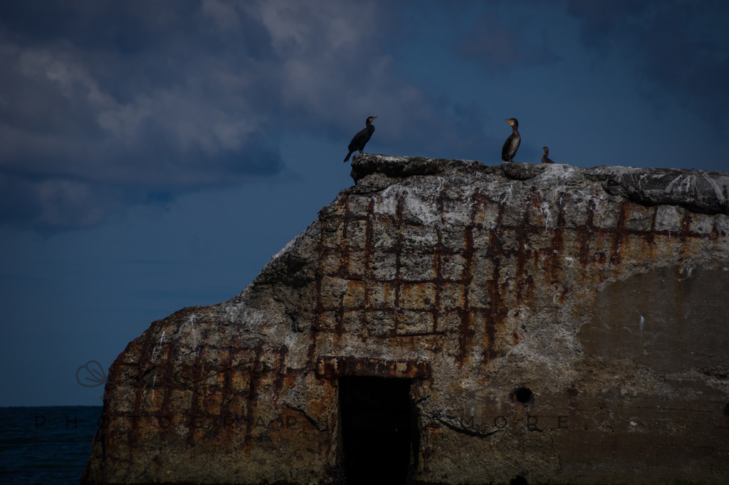 _Sommer2022-0534 | Photographies and more - Realisiert mit Pictrs.com