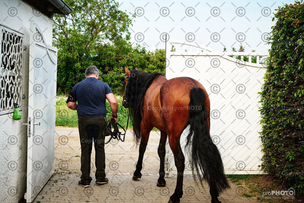 033_202406_Niki-Herodes_NZ9_9711 | proPHOTO - Realisiert mit Pictrs.com