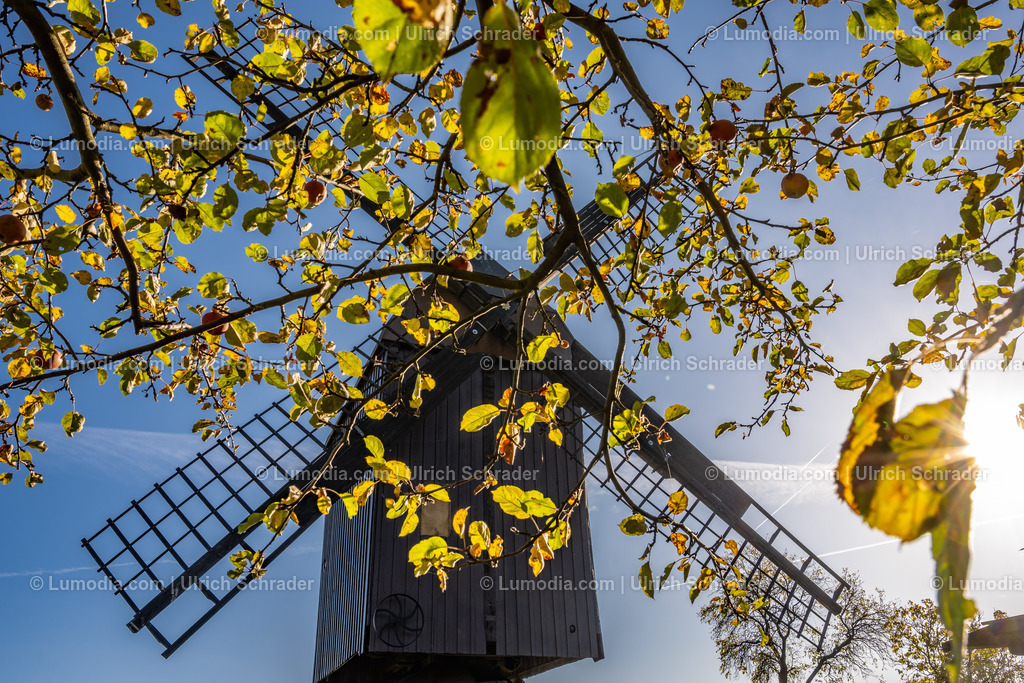 10049-12742 - Herbst in Anderbeck | Stockfoto und Bilderpool mit Bildmaterial aus Deutschland, dem Harz, Halberstadt, Quedlinburg, Wernigerode und weltweit. Qualitativ hochwertige und professionelle Fotos anschauen und kaufen. - Realisiert mit Pictrs.com