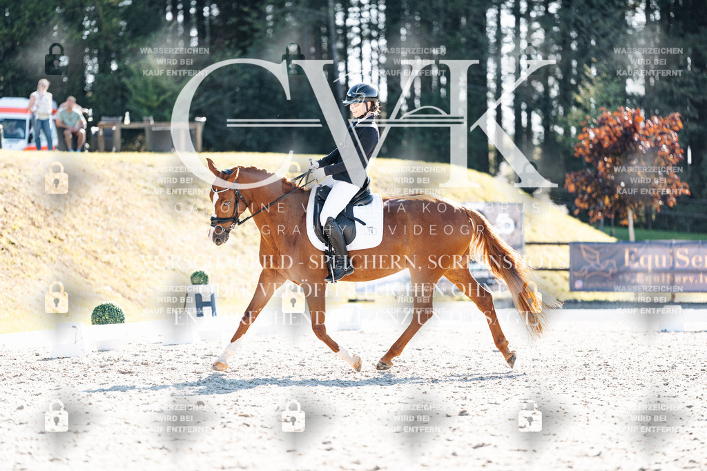 CK906021 | Turnierfotografie Pferdefotografie Trier Rheinland-Pfalz Pferdesport Reitsport Tierfotografie Sportfotografie Pferdevideo Pferdevideografie Equestrianvideography equestrianphotography  - Realisiert mit Pictrs.com
