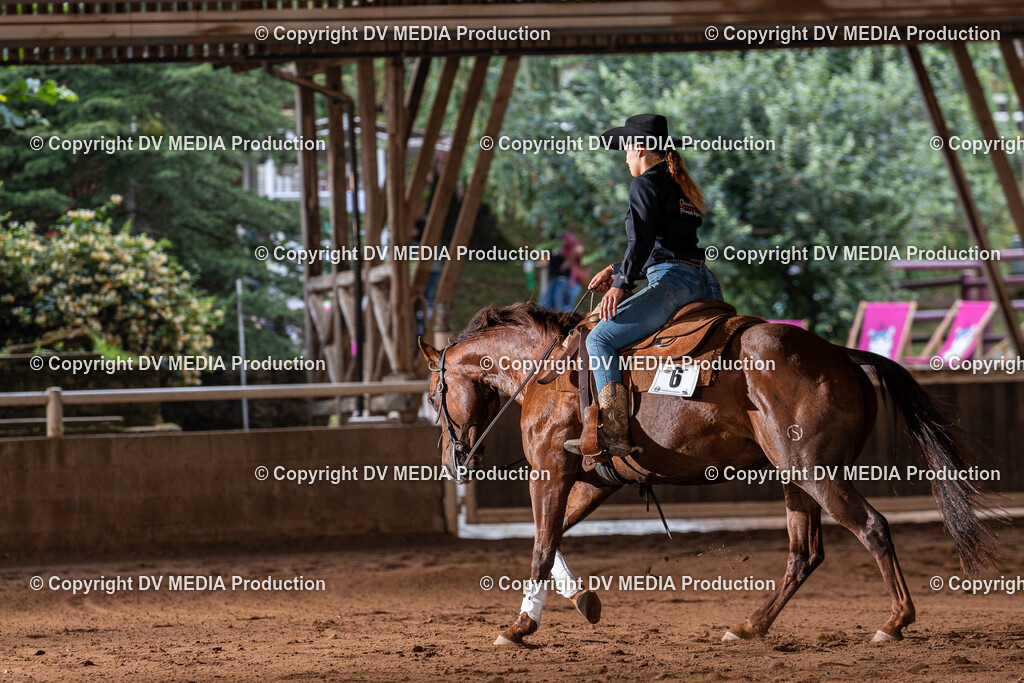 Erbach Tag 2-1117 | dv-media-shop - Realisiert mit Pictrs.com