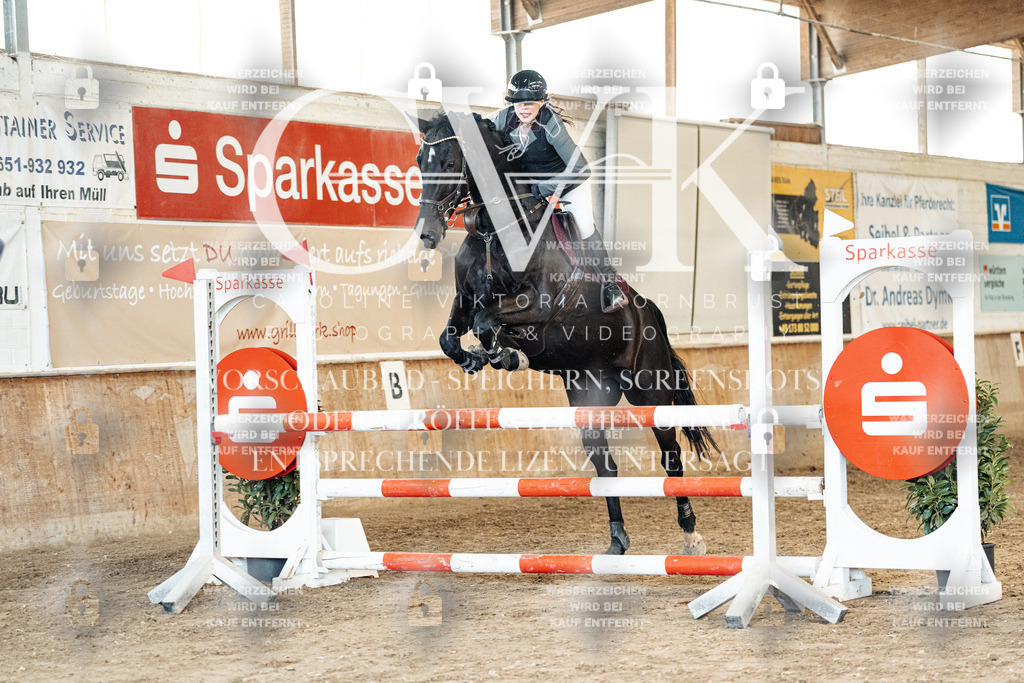 CK904929 | Turnierfotografie Pferdefotografie Trier Rheinland-Pfalz Pferdesport Reitsport Tierfotografie Sportfotografie Pferdevideo Pferdevideografie Equestrianvideography equestrianphotography  - Realized with Pictrs.com