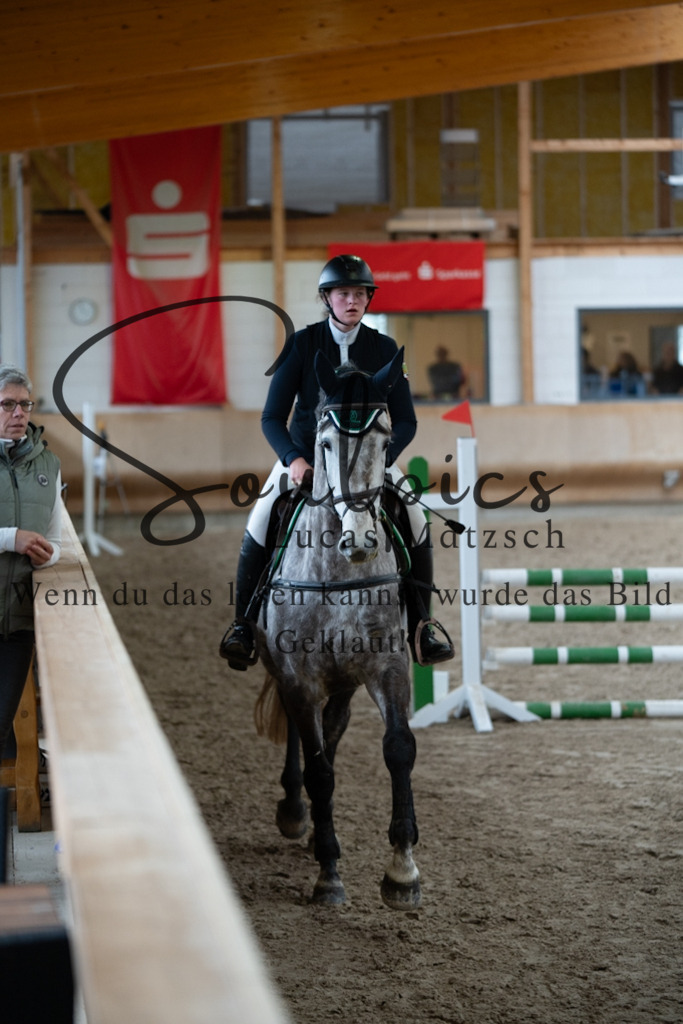 A7V00582 | Pferdefotograf