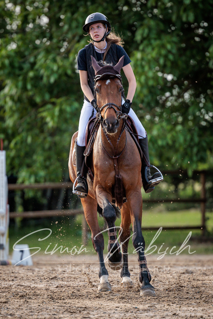 20260529-_3LI1473 | Tierfotografie Pferde, Hunde, Katzen, Haustiere.
Turnierfotografie Reitturniere, Reiten, Springreiten, Dressur in Hanau, dem Main-Kinzig-Kreis und dem Rhein-Main- Gebiet um Frankfurt