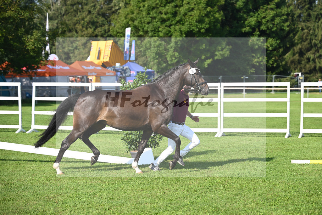 Kat-Nr. 3 Fleur_Hoffmann_34240032 | hf-fotografie - Realisiert mit Pictrs.com