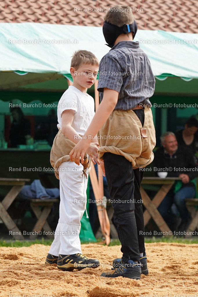 20220423-DSC07871 (2) | René Burch leidenschaftlicher Fotograf aus Kerns in Obwalden.  Hier finden sie Sport, Landschaft und Natur Fotografie.
 - Realisiert mit Pictrs.com