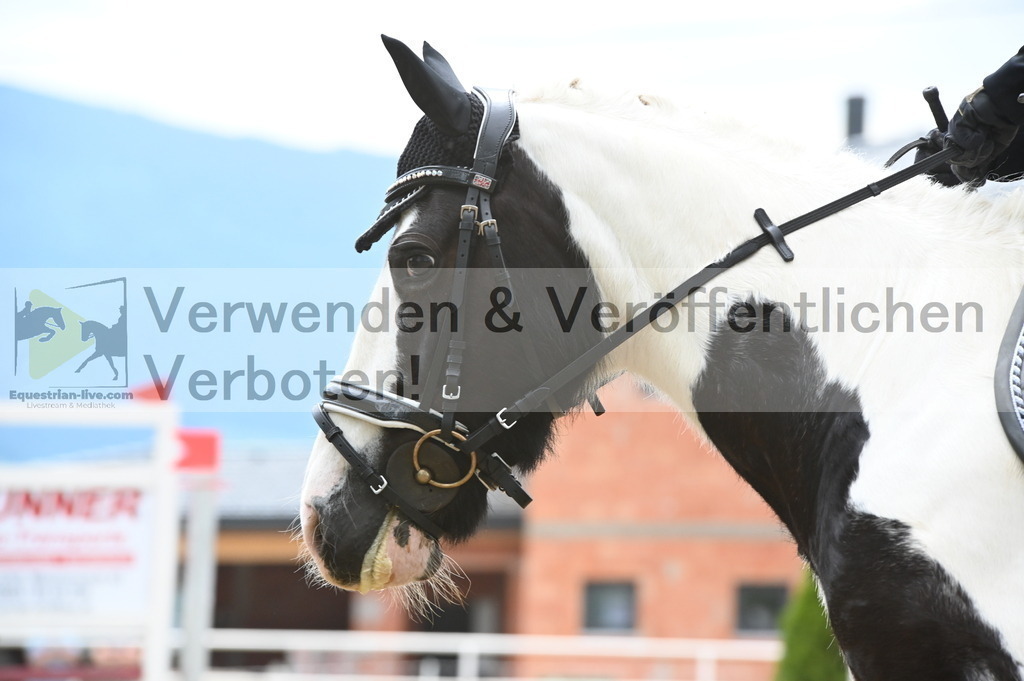 DSC_8160 | equestrian-live-com