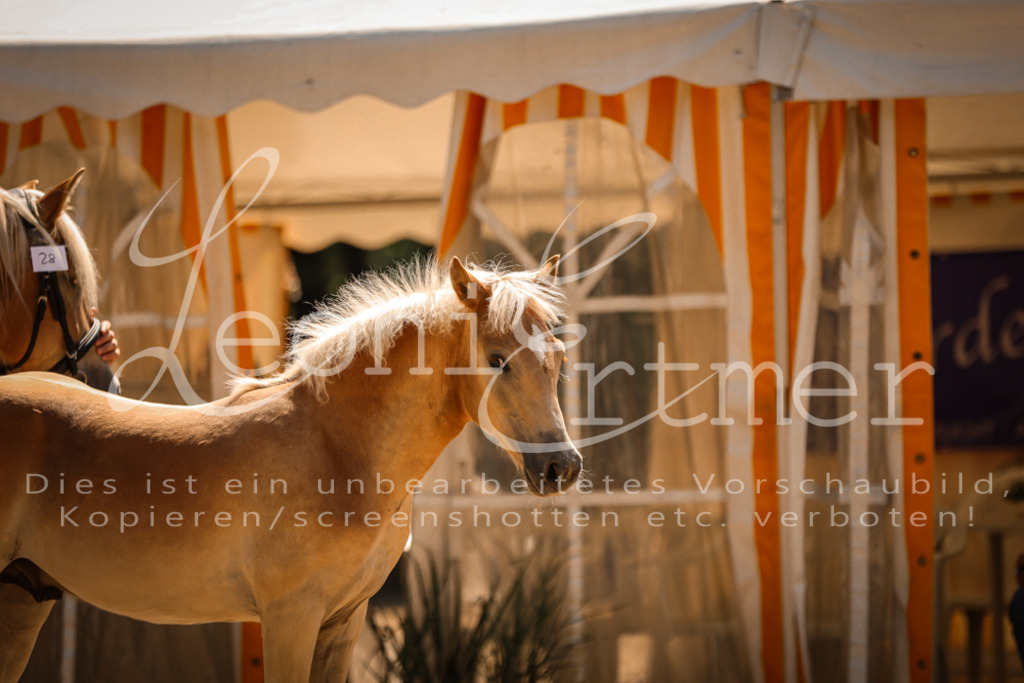 06.DoH00014 | Leoni Ertmer Photography - Realisiert mit Pictrs.com