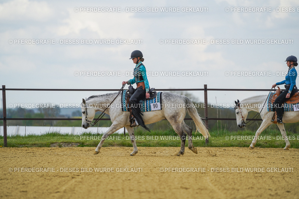 DSC06500 | Pferdegrafie