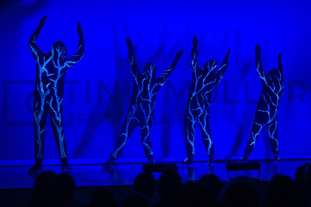 DSC05824 | Tinu Müller Fotografie- Bildershop - Realisiert mit Pictrs.com