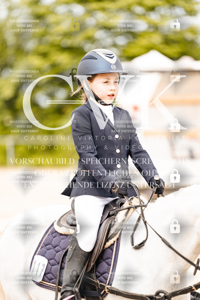 CK904579 | Turnierfotografie Pferdefotografie Trier Rheinland-Pfalz Pferdesport Reitsport Tierfotografie Sportfotografie Pferdevideo Pferdevideografie Equestrianvideography equestrianphotography  - Realisiert mit Pictrs.com