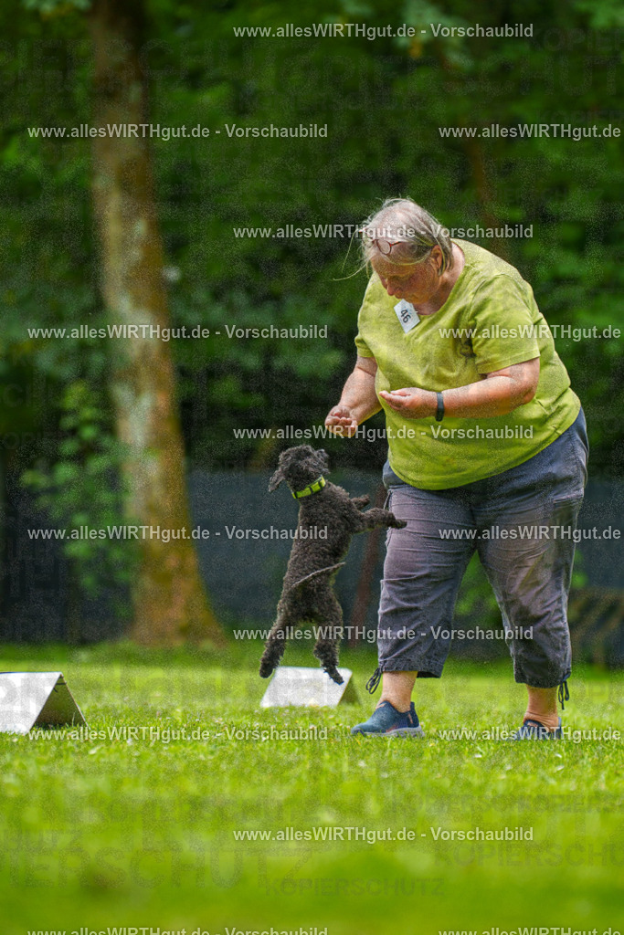 @allesWIRTHgut_Tierfotografie - www.allesWIRTHgut.de - 7R500479 | Professionelle Tierfotografie in Mönchengladbach von Daniel Wirth (allesWIRTHgut). Liebevolle & natürliche Bilder von Hunden & Katzen für unvergessliche Erinnerungen.