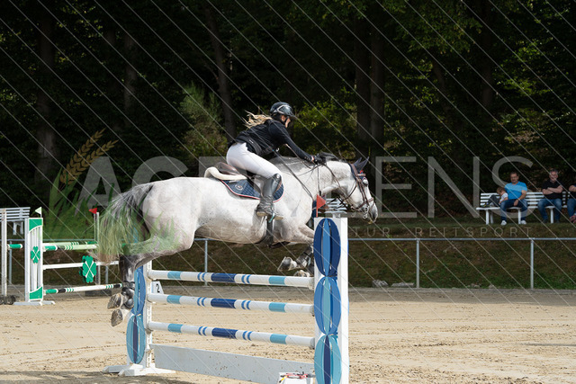 DSC07194 | Agrolens Media & Dienstleistungen - Realisiert mit Pictrs.com