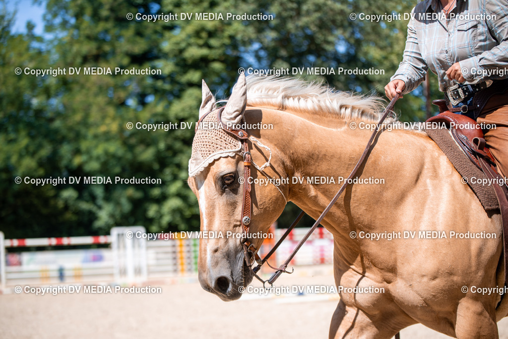 ZS1_1534 | dv-media-shop - Realisiert mit Pictrs.com