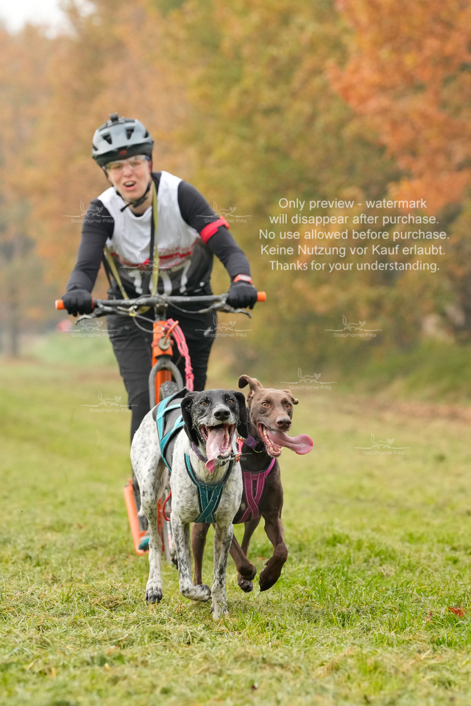 Visbeck_Sa_DS2DR2-61 | stephaniefillaphotographie - Realisiert mit Pictrs.com